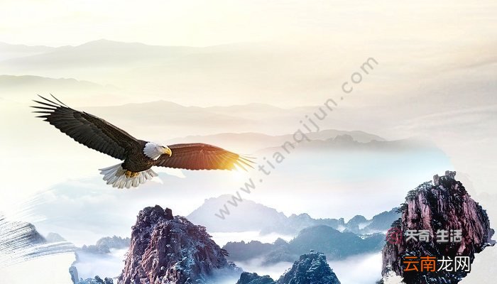 万类霜天竞自由其体裁 万类霜天竞自由的体裁是什么
