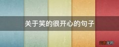 关于笑的很开心的句子