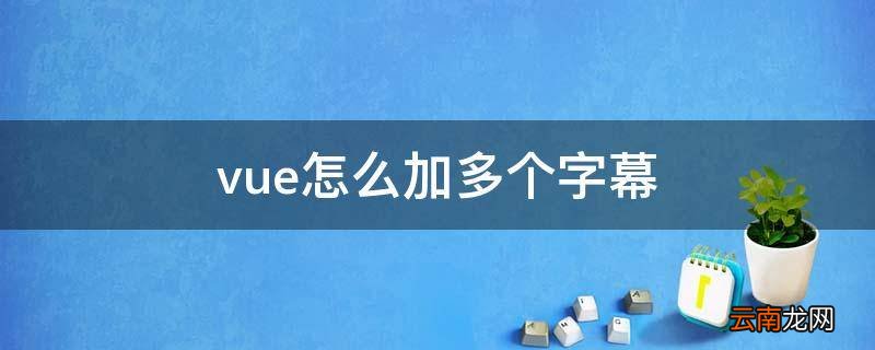 vue怎么加多个字幕