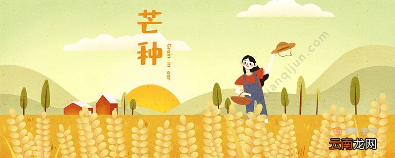 芒种有什么物候特征 芒种在什么节气之间