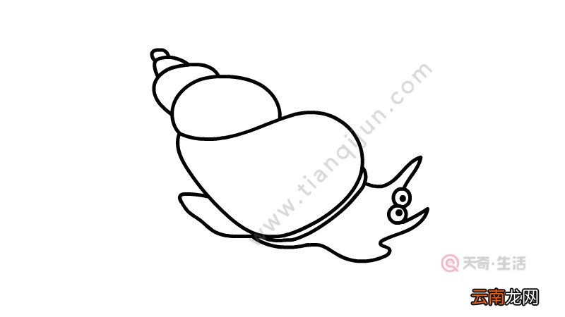 蜗牛简笔画简单又好看