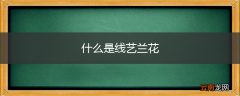 什么是线艺兰花