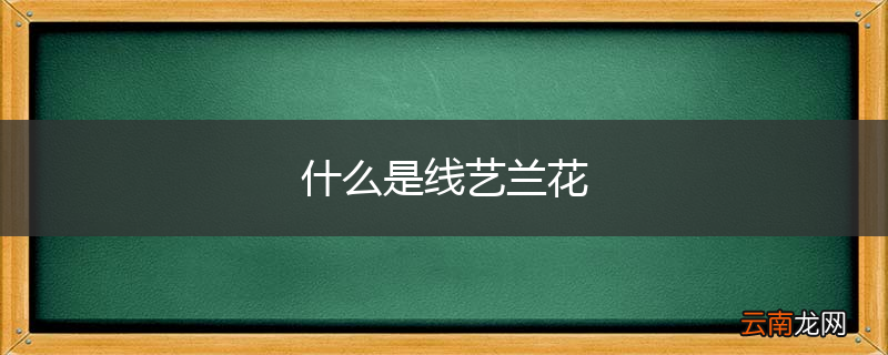 什么是线艺兰花