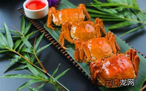 螃蟹吃什么