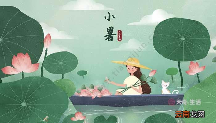 芒种和小暑时间 芒种的时间和小暑的时间