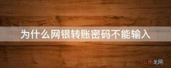 为什么网银转账密码不能输入