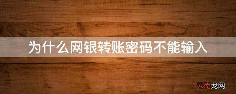 为什么网银转账密码不能输入