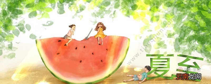夏至有什么特点 夏至节气的特点
