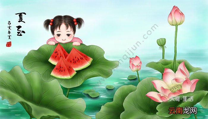 夏至有哪些称法 夏至在古时是叫什么