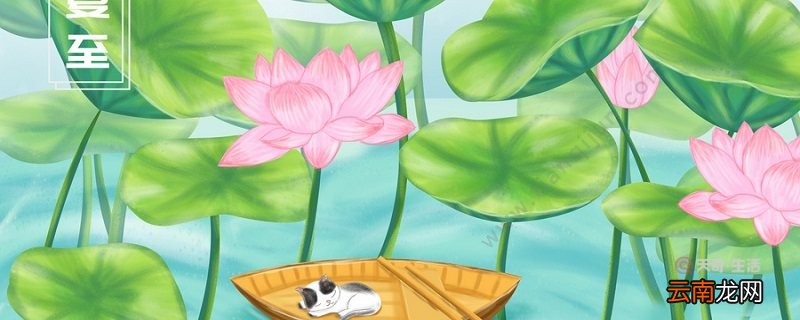 夏至与冬至的区别 夏至与冬至有什么不同