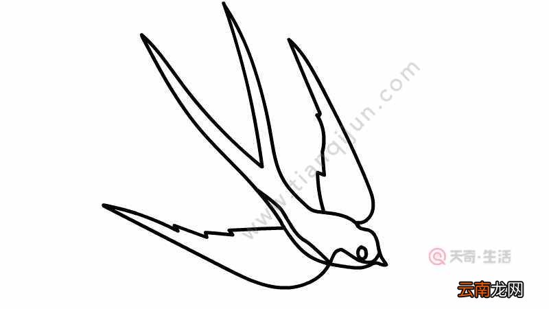小燕子简笔画
