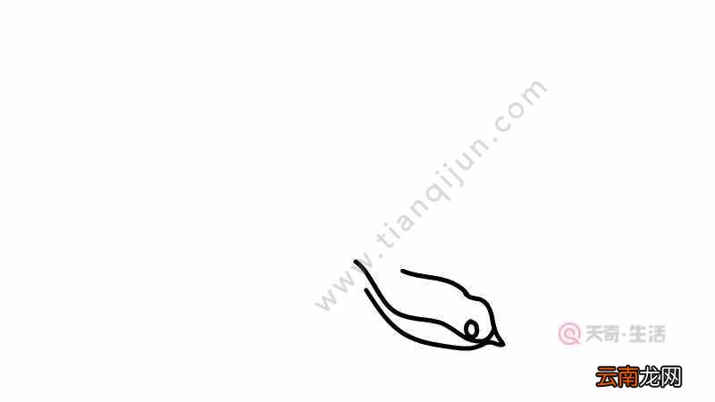 小燕子简笔画