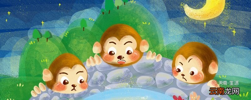 伊索寓言搜集了很多什么民间故事 伊索寓言搜集了哪些民间故事