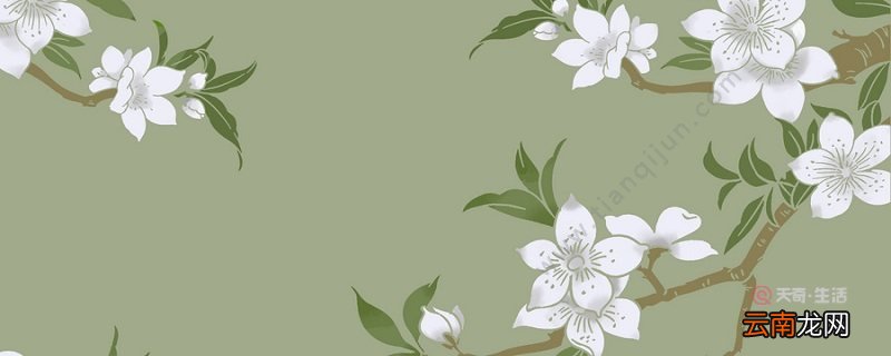 描写春天的散文名篇 描写春天的散文名篇有哪些