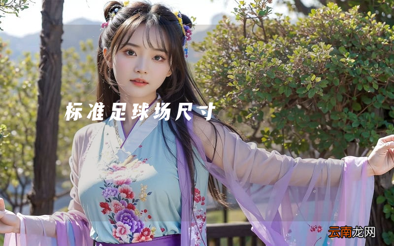 标准足球场尺寸