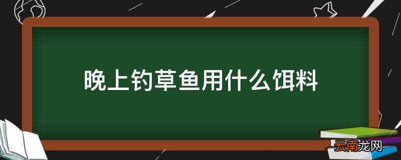晚上钓草鱼用什么饵料