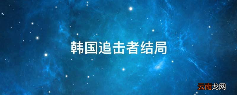 韩国追击者结局