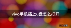 vivo手机插上u盘怎么打开