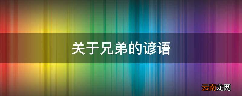 关于兄弟的谚语