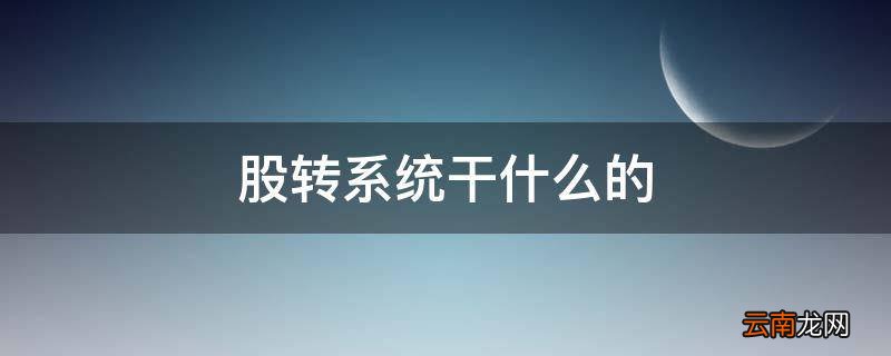 股转系统干什么的