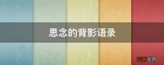 思念的背影语录