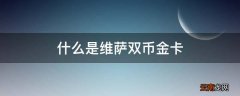 什么是维萨双币金卡