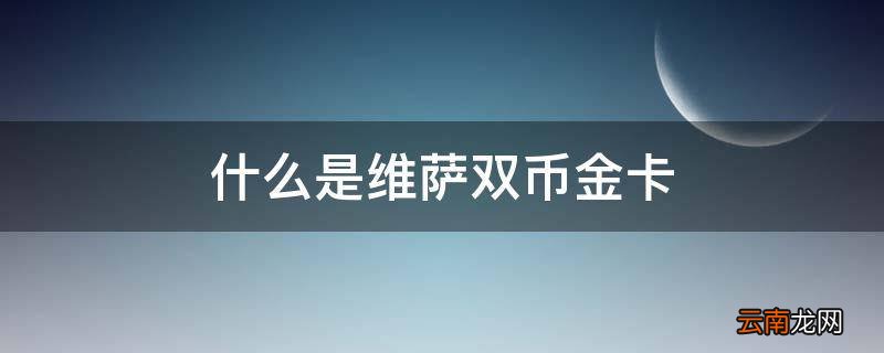 什么是维萨双币金卡
