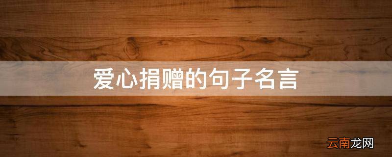 爱心捐赠的句子名言