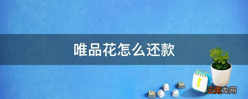 唯品花怎么还款