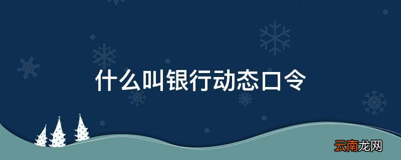 什么叫银行动态口令