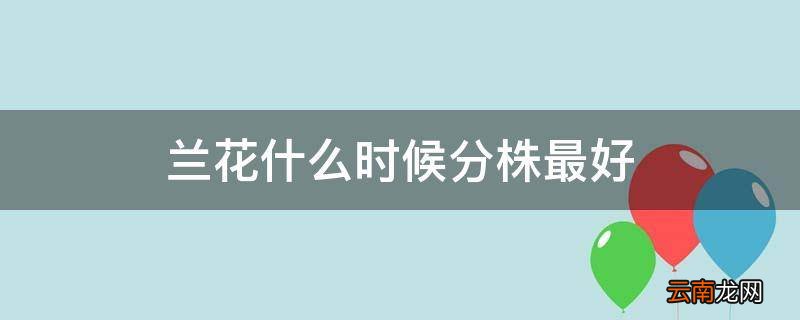 兰花什么时候分株最好