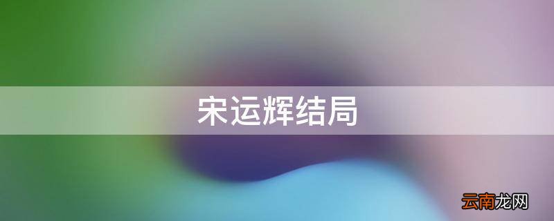 宋运辉结局