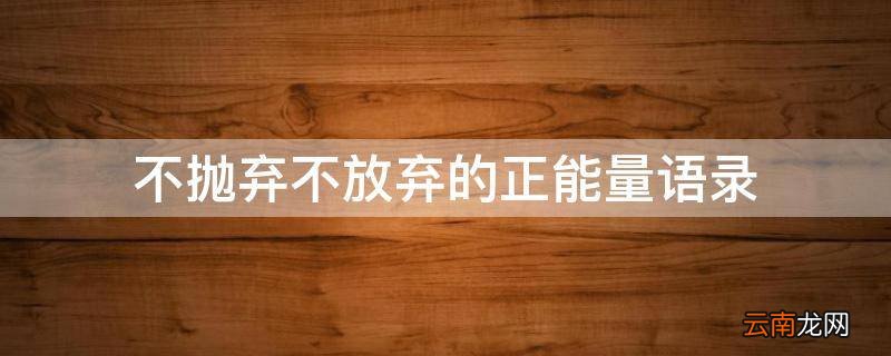 不抛弃不放弃的正能量语录