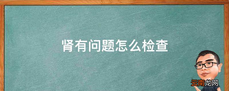 肾有问题怎么检查