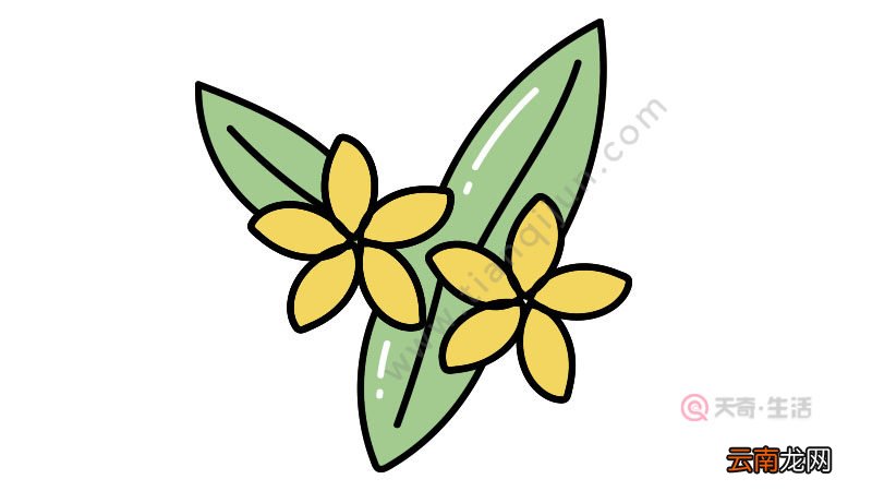 花朵简笔画怎么画图片