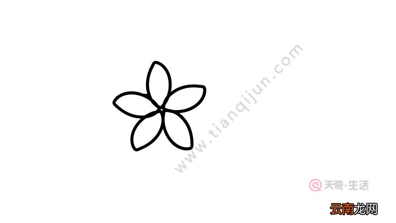 花朵简笔画怎么画图片