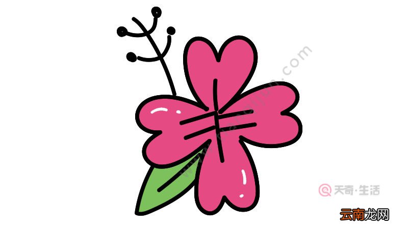 花朵简笔画画法简单怎么画