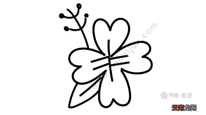 花朵简笔画画法简单怎么画