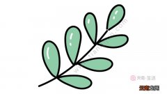 树叶简笔画画法大全