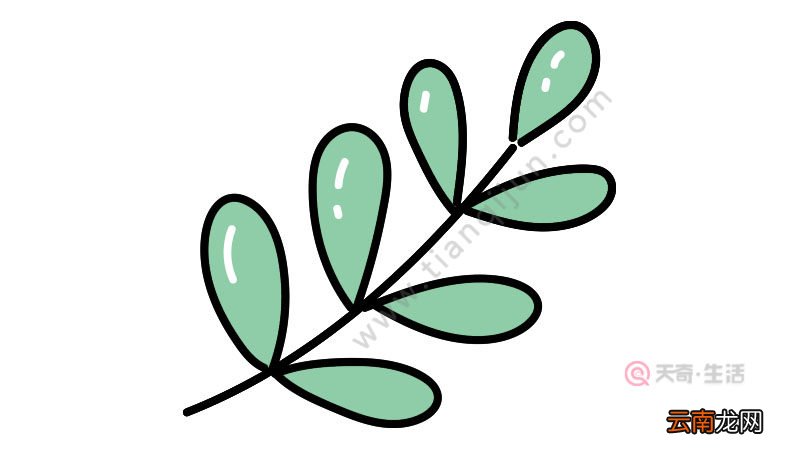 树叶简笔画画法大全