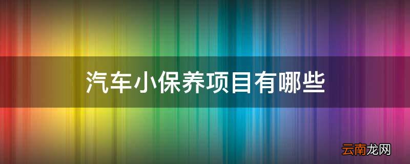 汽车小保养项目有哪些