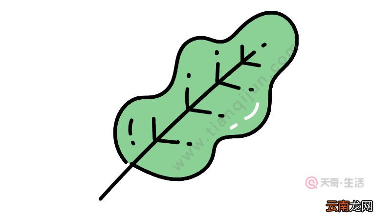 树叶简笔画图片教程怎么画