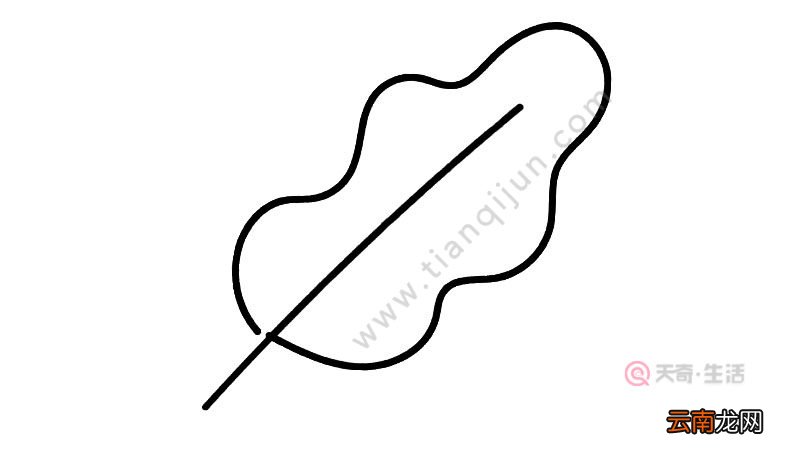 树叶简笔画图片教程怎么画