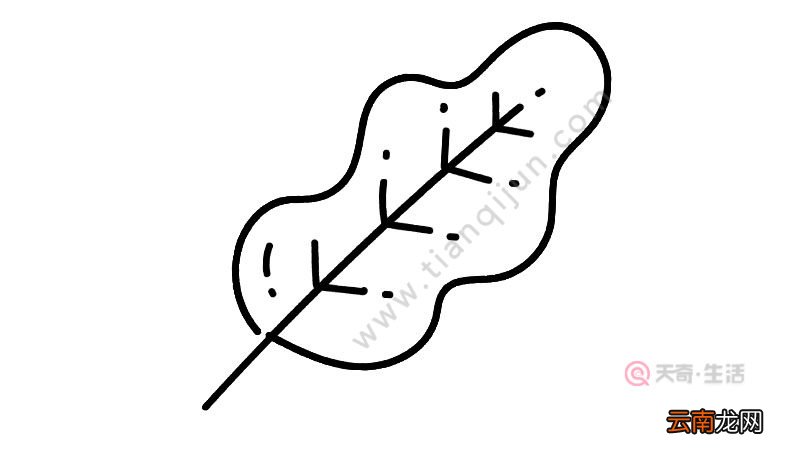 树叶简笔画图片教程怎么画