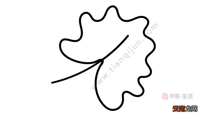 绿叶简笔画好看画法教程