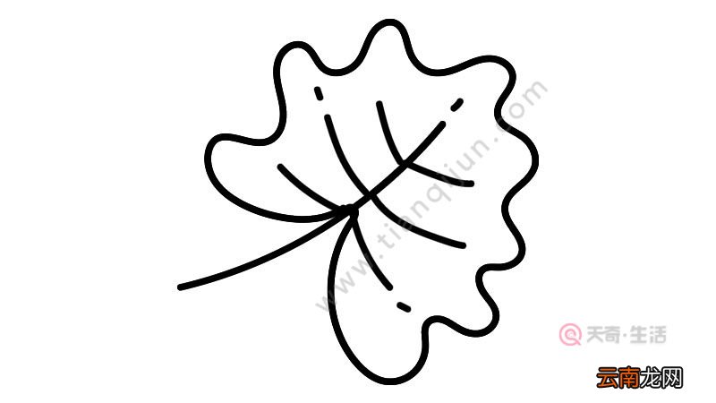 绿叶简笔画好看画法教程
