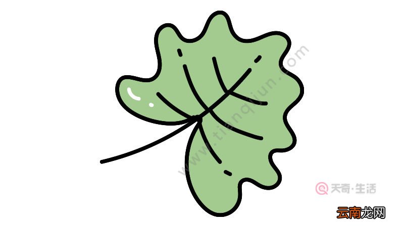 绿叶简笔画好看画法教程