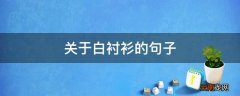 关于白衬衫的句子