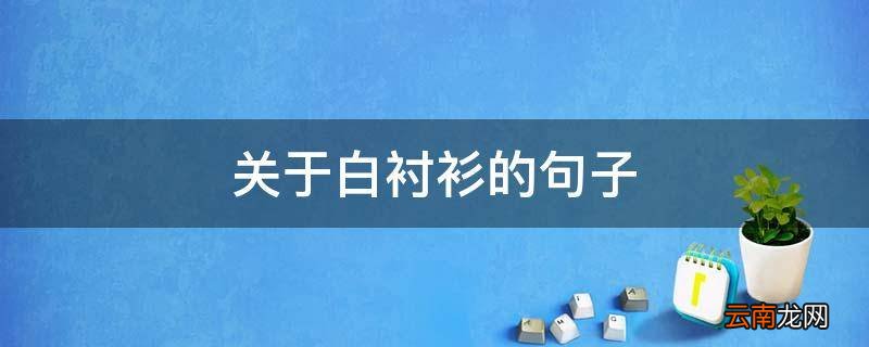 关于白衬衫的句子