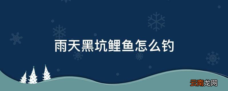 雨天黑坑鲤鱼怎么钓
